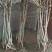 山楂苗基地，质量保证，诚信经营，成活率高