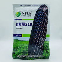 京紫糯219黑甜糯玉米种子甜加糯高产鲜食国审玉米