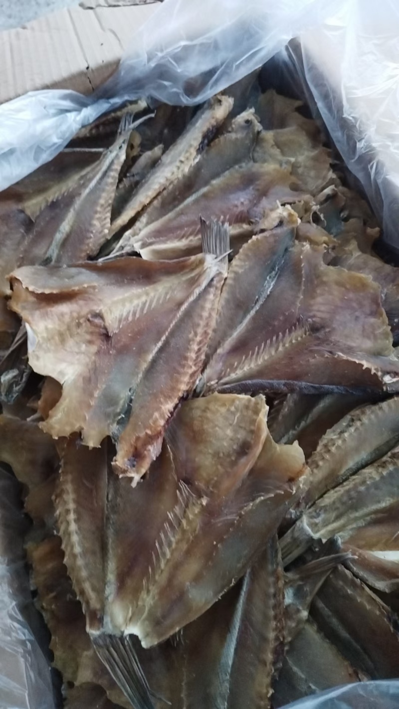 石斑鱼干