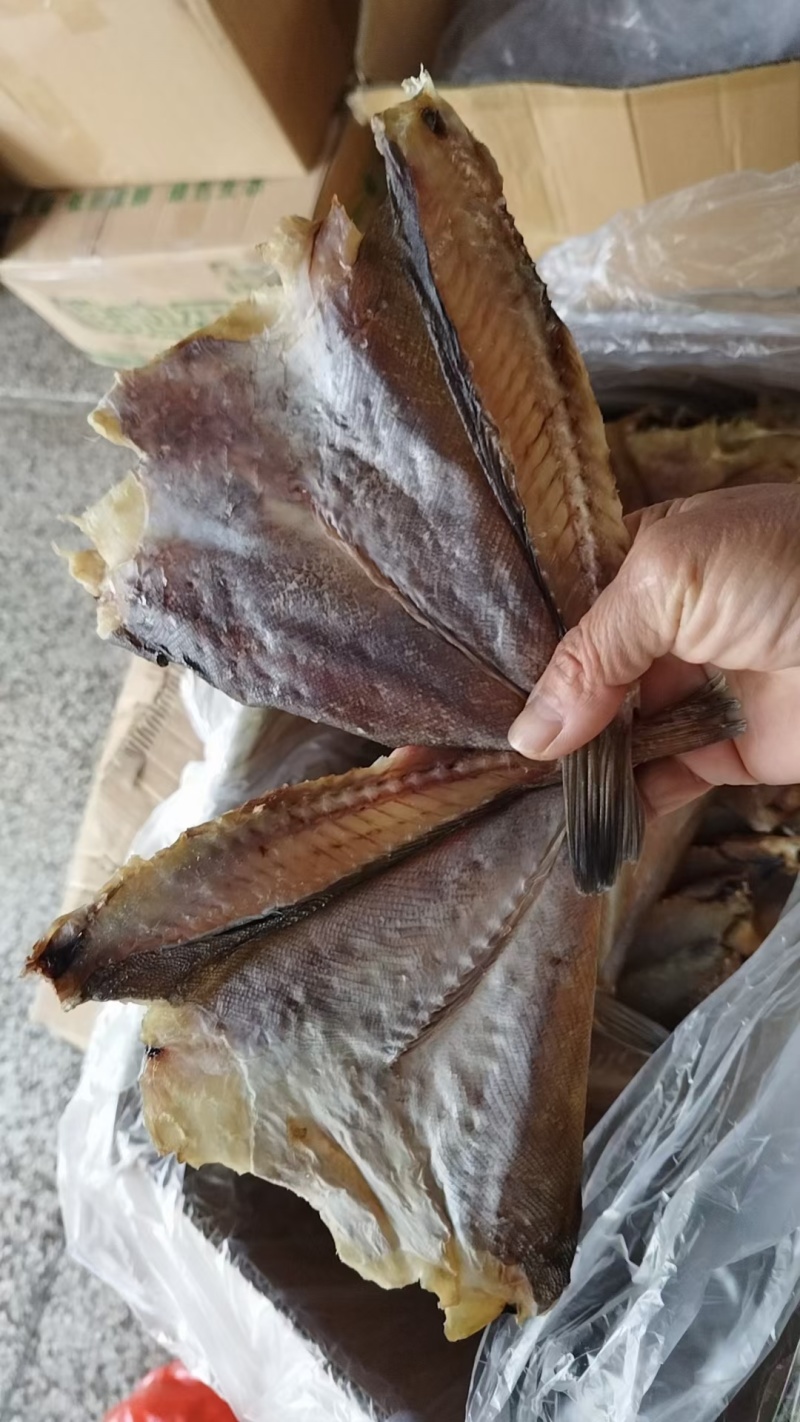 石斑鱼干