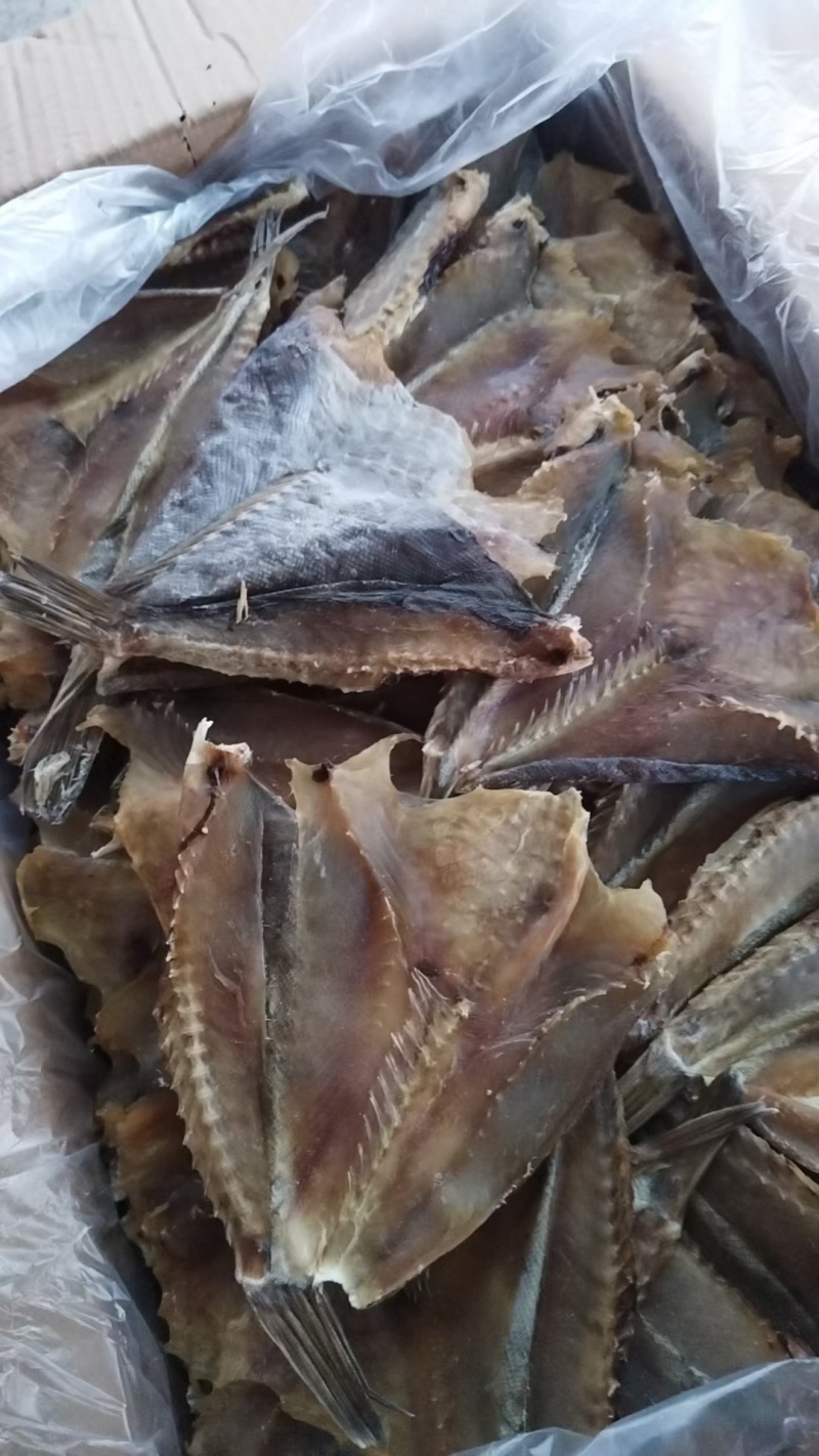 石斑鱼干