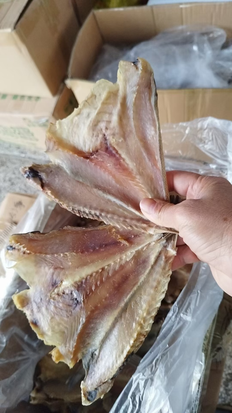 石斑鱼干