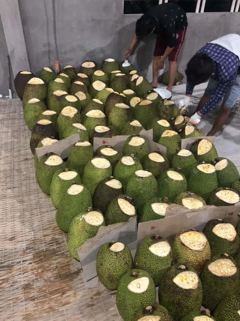 越南红菠萝蜜印尼红菠萝蜜供应，越南工厂资源，合作首选