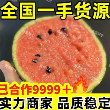【热卖】山东全美2K西瓜小糖丸西瓜新鲜小吊瓜