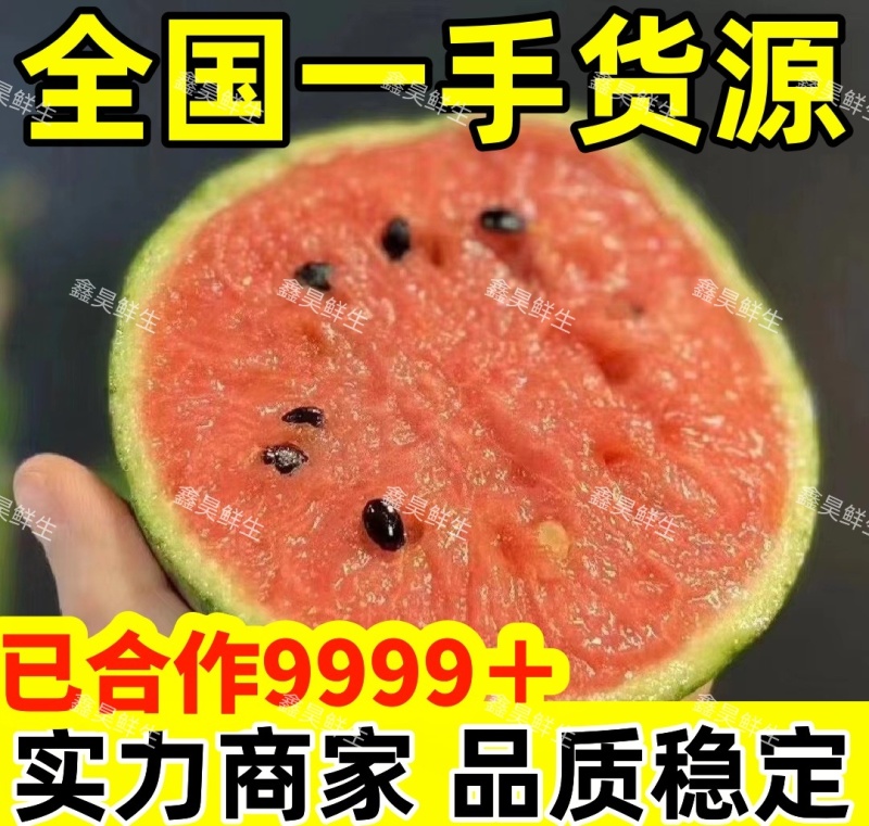 【热卖】山东全美2K西瓜小糖丸西瓜新鲜小吊瓜