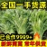 【诚信】精品优质小叶茼蒿现摘现发全国发货新鲜蔬菜常年供应