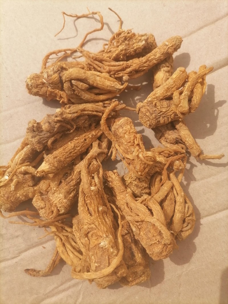 当归水洗毛归头片《黄》通货，价格合理，有需要的客户请联系