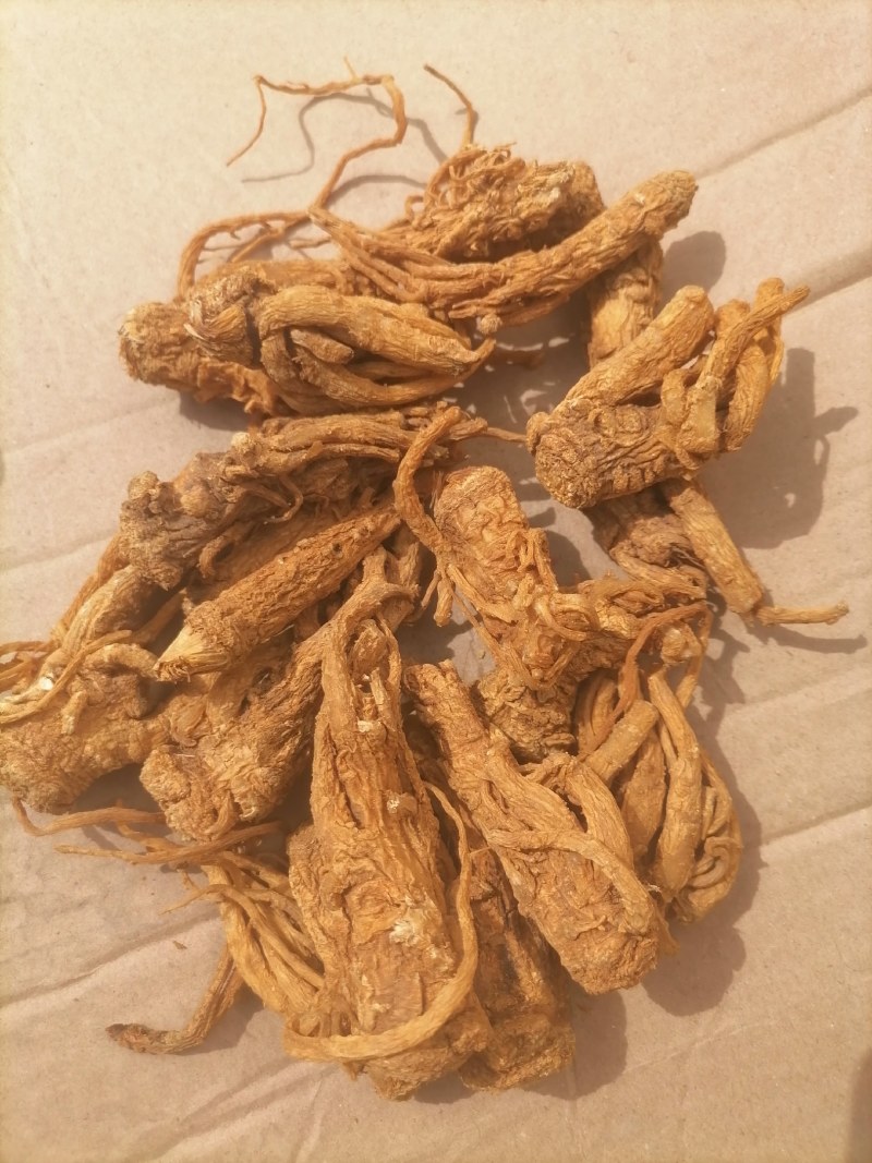 当归水洗毛归头片《黄》通货，价格合理，有需要的客户请联系