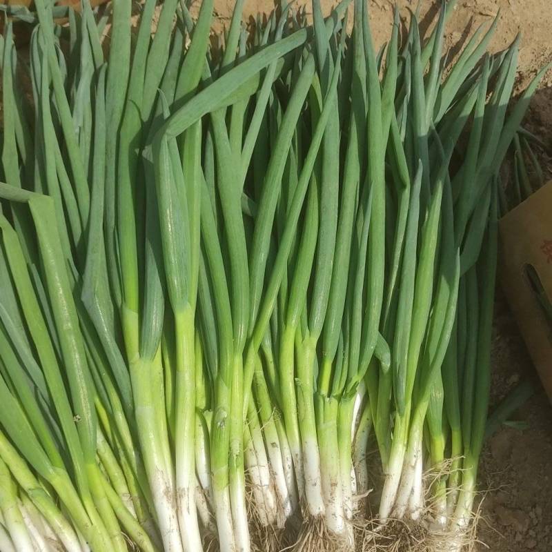 分葱精品超市