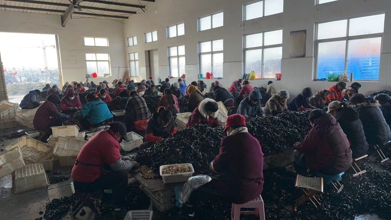海虹肉大量有货，200-230粿粒公斤。需要的老板咨询