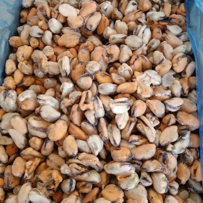 海虹肉大量有货，200-230粿粒公斤。需要的老板咨询