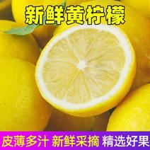 尤力克柠檬，看得见的新鲜，产地直供，品质看得见