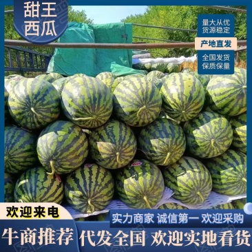 云南西瓜甜王西瓜无籽甜王西瓜有籽甜王西瓜大量供应