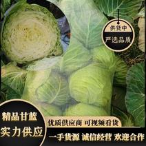 【甘蓝】精品圆白菜，产地直发量大价优，诚信经营，全国发货