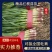【红根蒜苗】河南红根蒜苗，大量现货，规格齐全，可视频看货