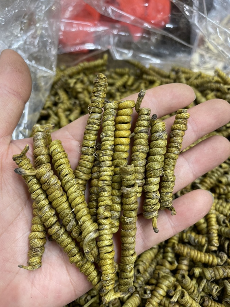石斛枫斗，铁皮石斛，龙头凤尾基地源头直供