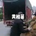 黄柏苗，正宗厚皮川柏苗，基地直发货，规格齐全，货源充足！
