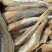 红娘鱼干红头棍鱼干去头去内脏、蒸、煎、炸产地批