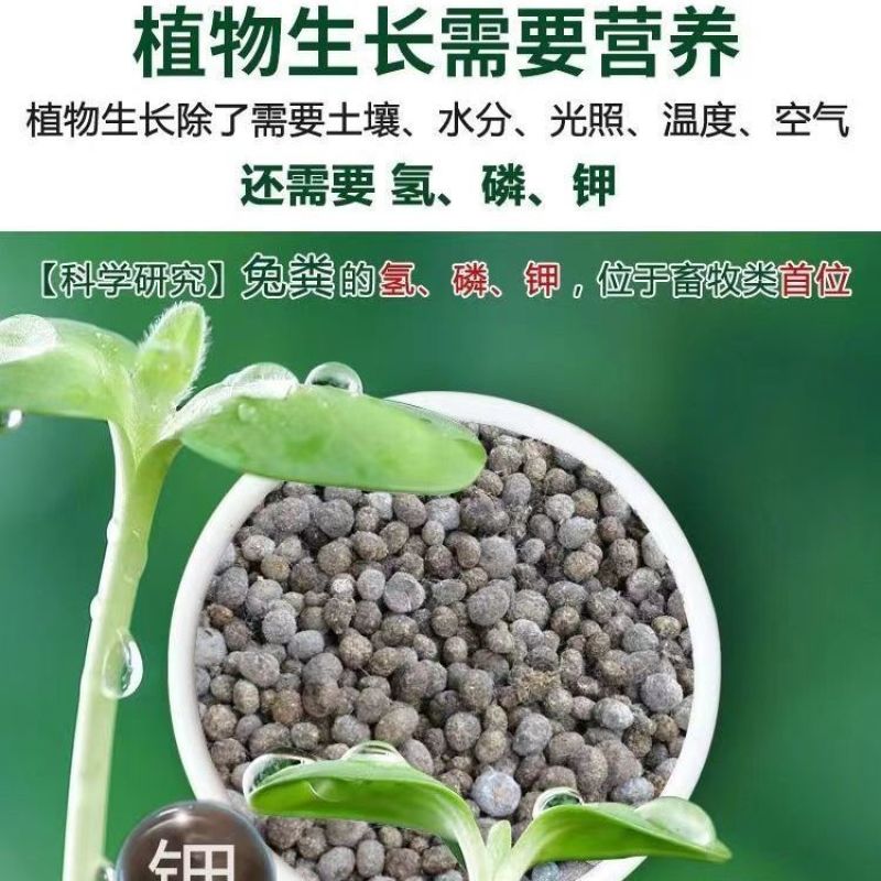 兔粪兔场直供优质兔粪有机肥兔粪价格