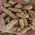 天津加工南瓜籽仁的南瓜籽壳颗粒，蛋白20%，性价比高