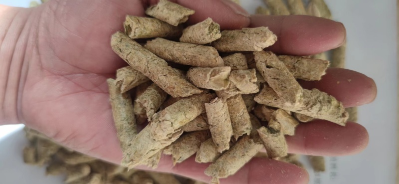天津加工南瓜籽仁的南瓜籽壳颗粒，蛋白20%，性价比高