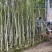 沉香基地直销规格齐全欢迎老板来电洽谈合作