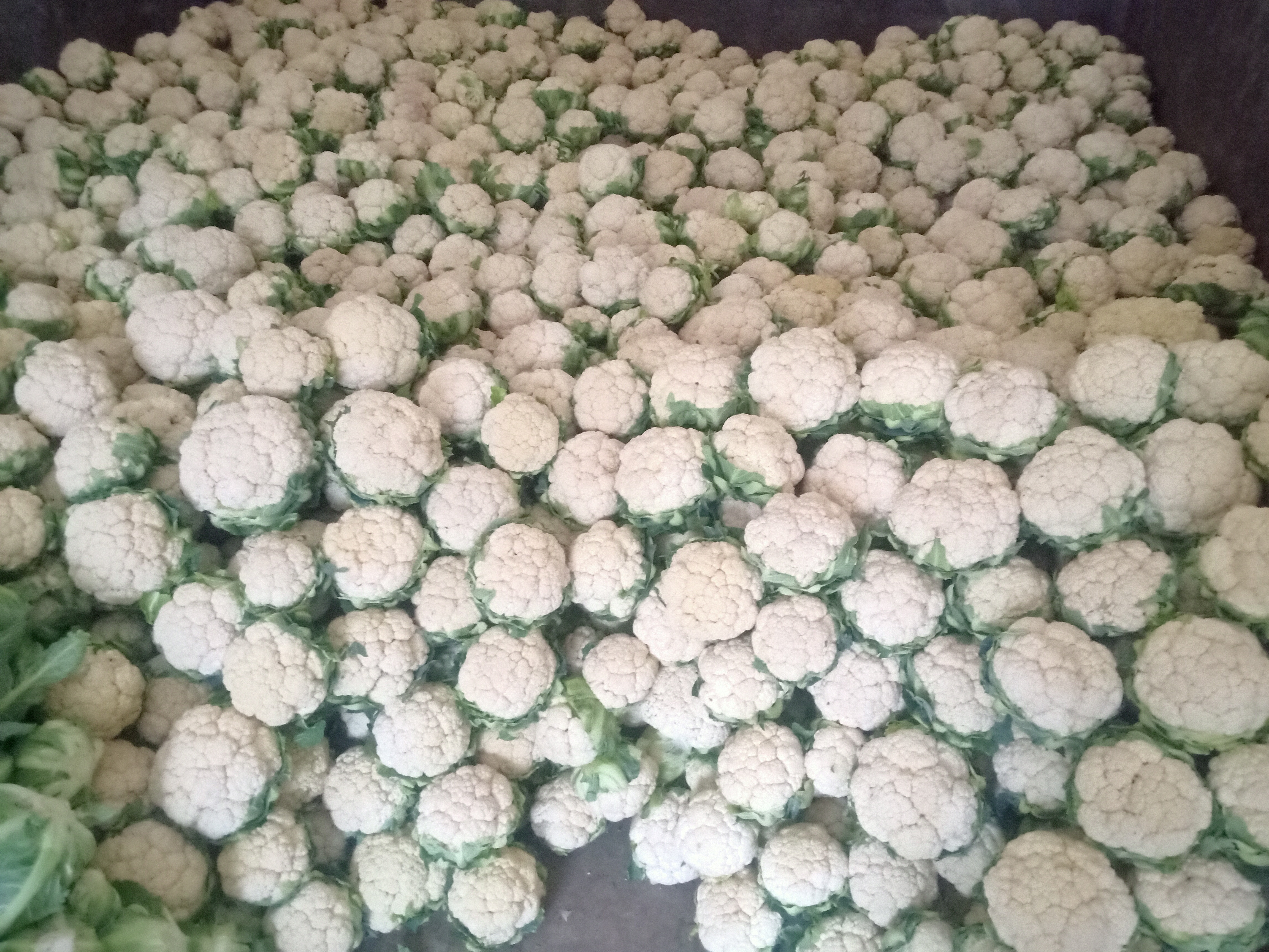 市场中新鲜的白花菜花摊位