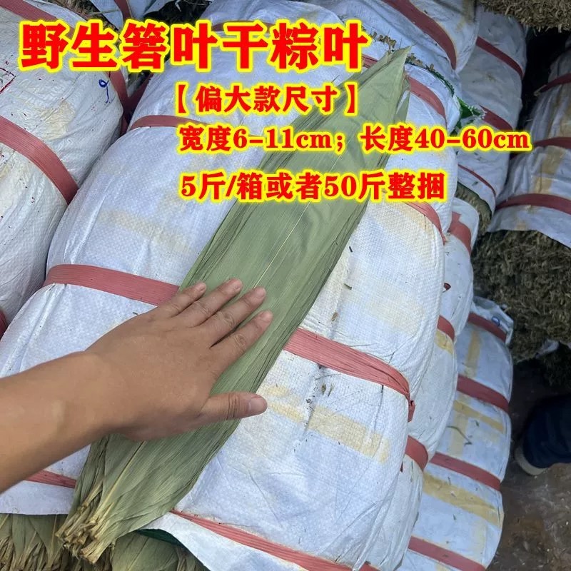 商用野生干粽叶50斤批发粽子叶新鲜麻竹叶箬竹叶大宽叶