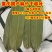 商用野生干粽叶50斤批发粽子叶新鲜麻竹叶箬竹叶大宽叶
