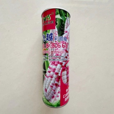 钱多多668彩甜糯鲜食玉米种子超甜糯玉米高产特大穗基地