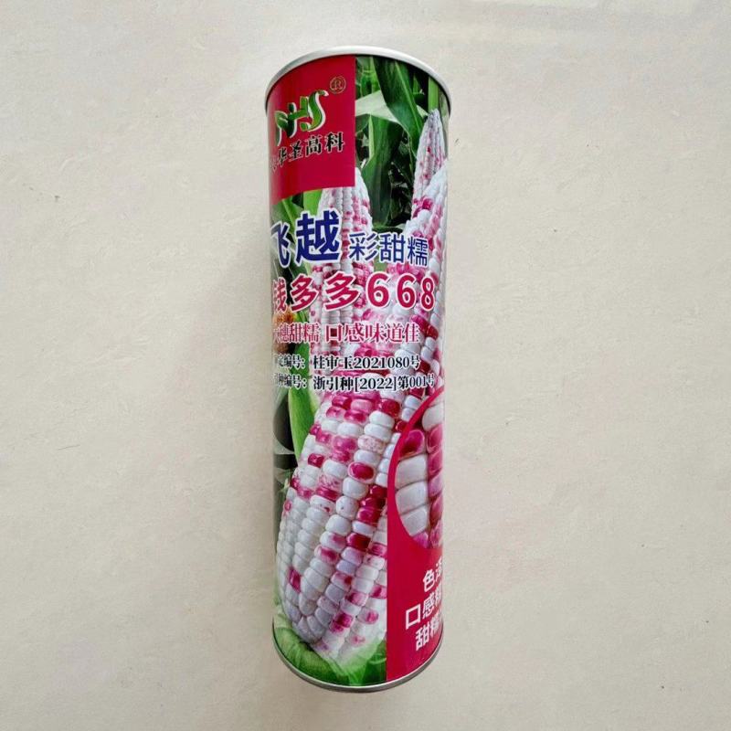 钱多多668彩甜糯鲜食玉米种子超甜糯玉米高产特大穗基地