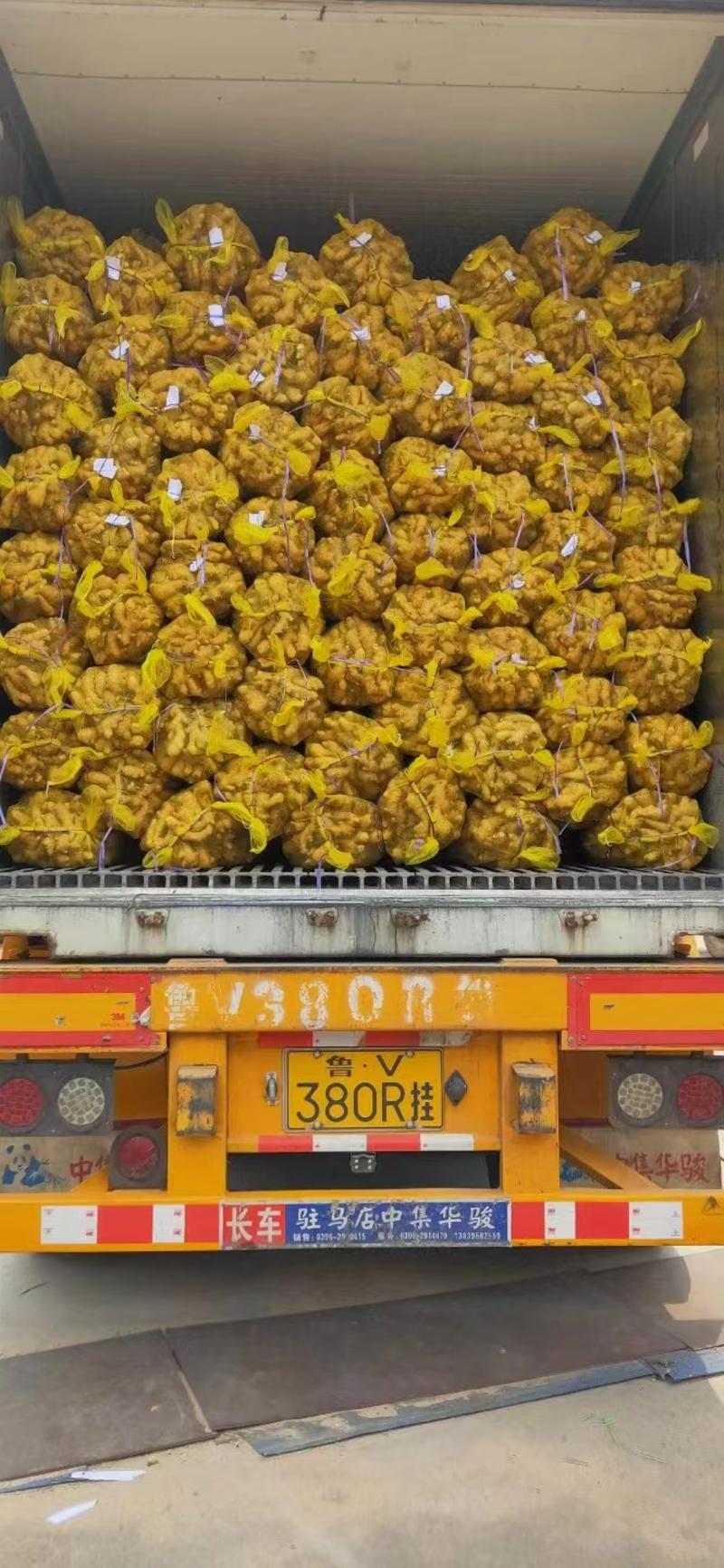 辽宁生姜精品大黄姜产地直供量大从优质量保证全国发货