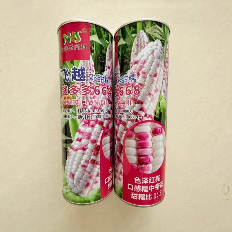 钱多多668彩甜糯鲜食玉米种子超甜糯玉米高产特大穗基地