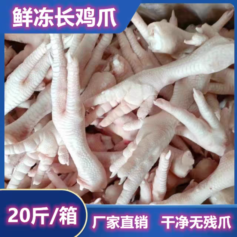 和美长鸡爪鲜冻大号长柄凤爪20斤饭店卤味食材