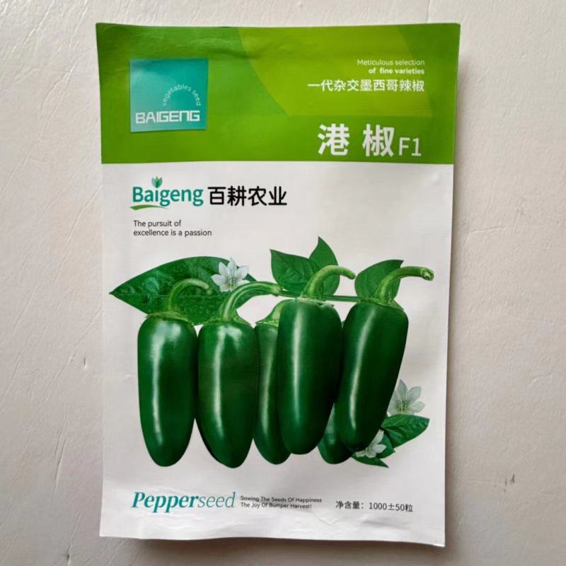 港椒种子杂交一代基地种植品种种子