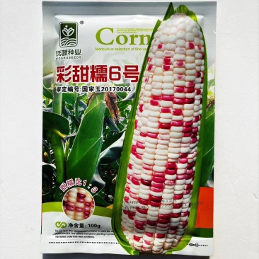 沃蔬彩甜糯6号甜糯花玉米种子口感甜糯花糯玉米种籽基地大户