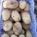 辽宁精品土豆黄皮黄心土产地直发货量充足供全国市场
