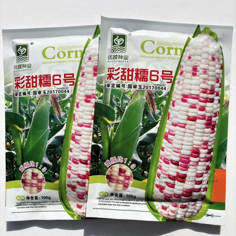 沃蔬彩甜糯6号甜糯花玉米种子口感甜糯花糯玉米种籽基地大户