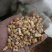 黄豆玉米混合物