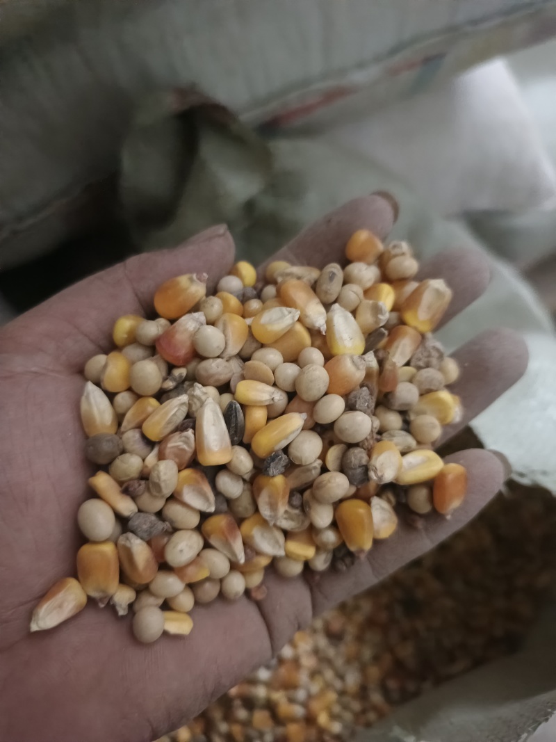 黄豆玉米混合物