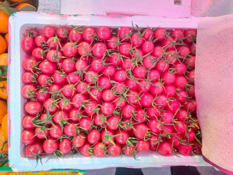 圣女果千禧西红柿贝贝釜山88电商货市场货超市大量供应