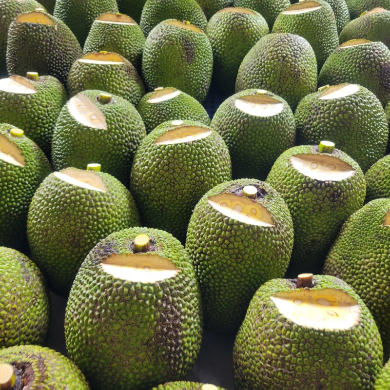 红肉菠萝蜜泰8电商社区团购批发市场欢迎洽谈