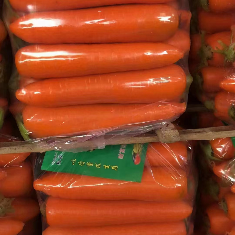 精品水洗胡萝卜，新鲜胡萝卜，水洗土货，供应全国商超市场