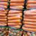 精品水洗胡萝卜，新鲜胡萝卜，水洗土货，供应全国商超市场