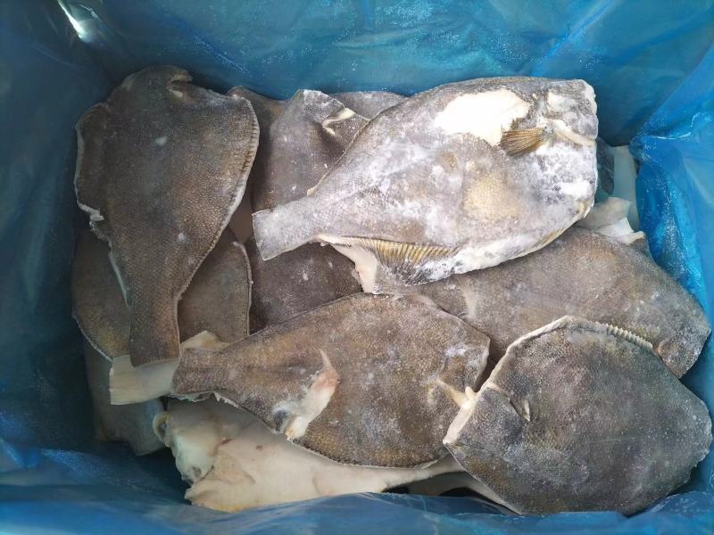 去头鲽鱼B级，比目鱼山东威海厂家直发新鲜发货量大从优