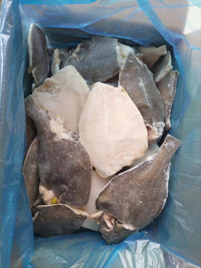 去头鲽鱼B级，比目鱼山东威海厂家直发新鲜发货量大从优