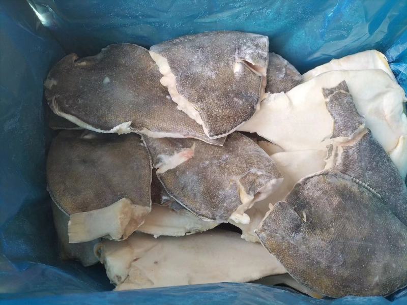 去头鲽鱼B级，比目鱼山东威海厂家直发新鲜发货量大从优
