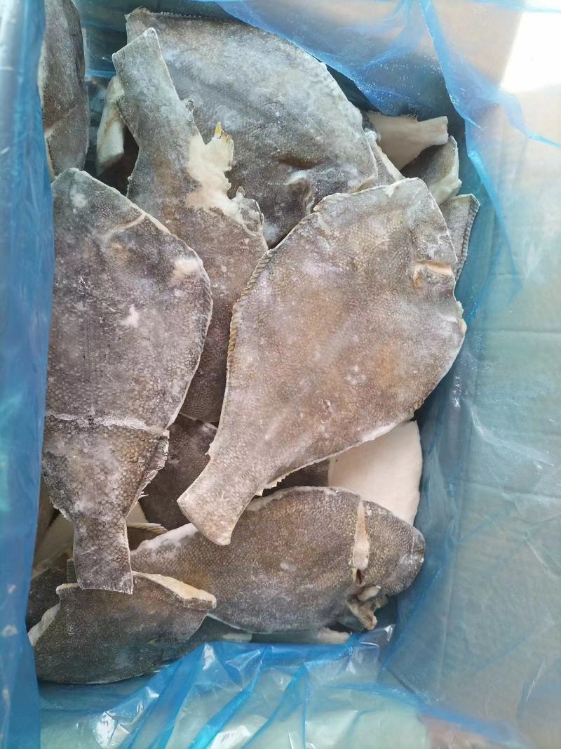 去头鲽鱼B级，比目鱼山东威海厂家直发新鲜发货量大从优
