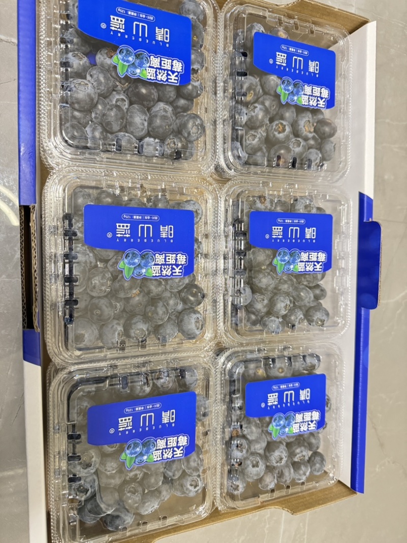 四川高山蓝莓