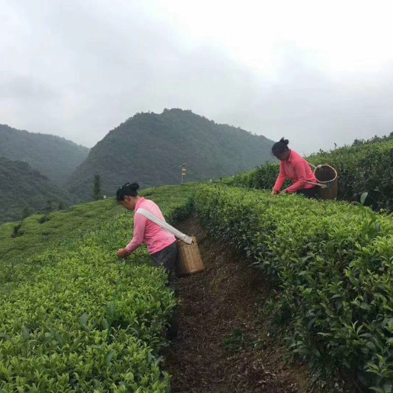 广东粤北土特产